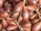 Shallots