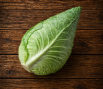 Cabbage Pointed Sp.