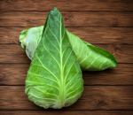 Cabbage Pointed