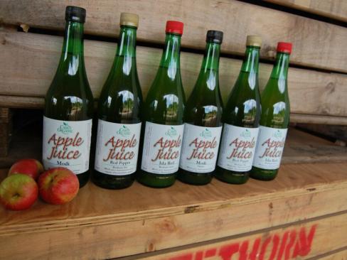 Apple Juice Discovery