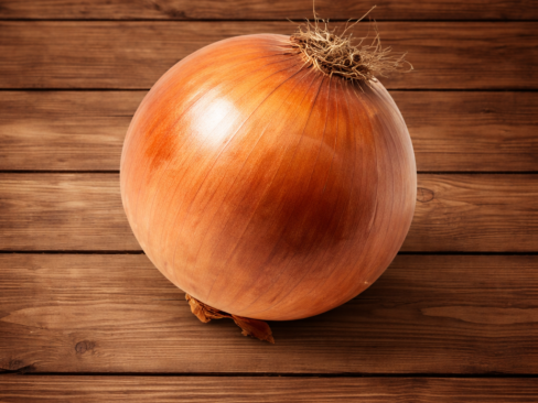 Onion Yellow N.L.