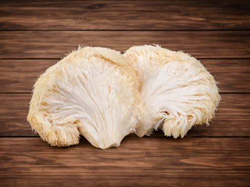 Mushroom Lions Mane
