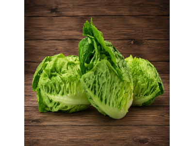 Lettuce Little Gem 2 pack