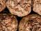 Celeriac.