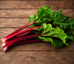Rhubarb N.L.
