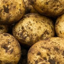 Potato Orla