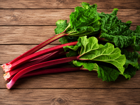 Rhubarb N.L.