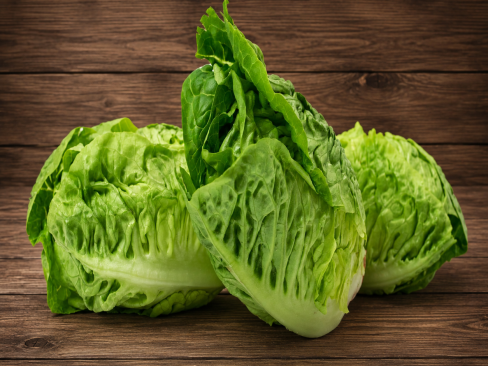 Lettuce Little Gem 2 pack