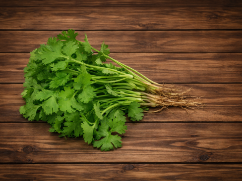 Herb Corinader