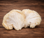 Mushroom Lions Mane