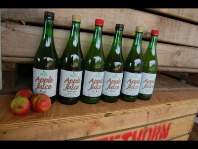 Apple Juice Red Pippin